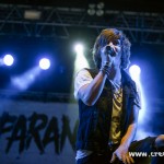 051 The Paranoid